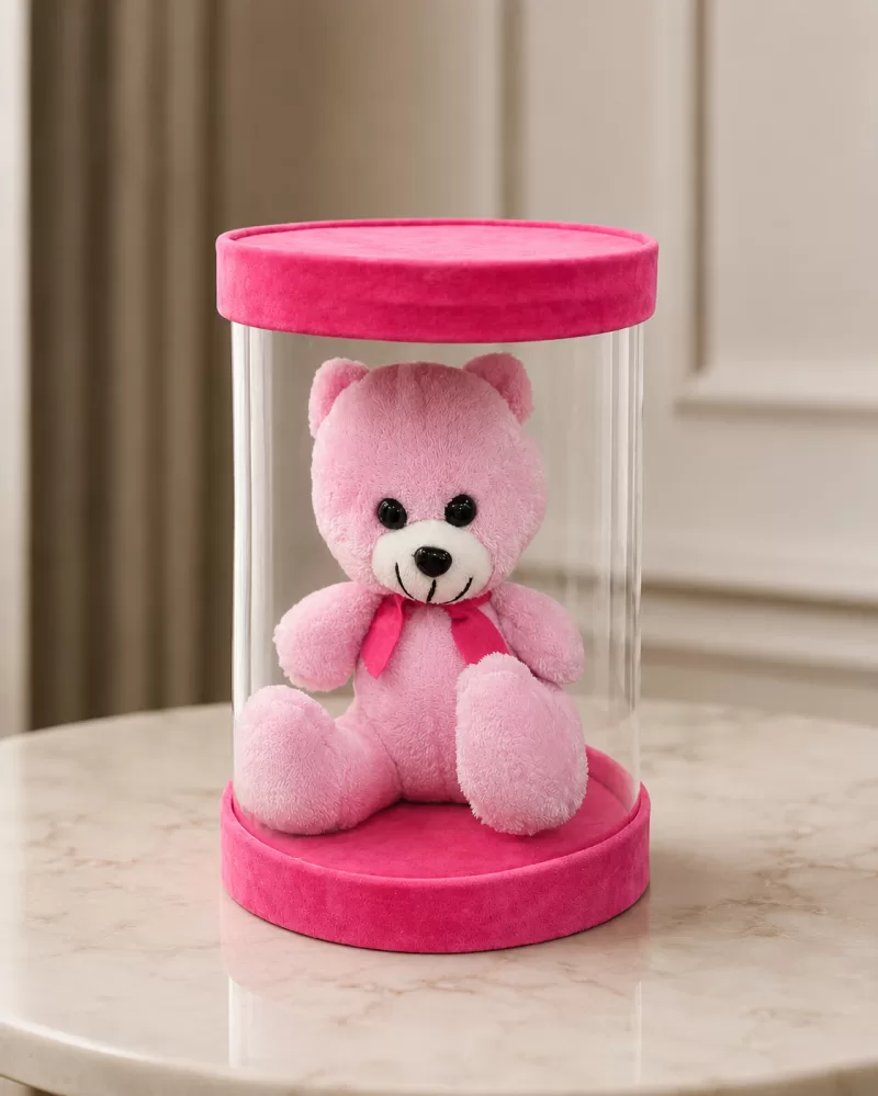 Şeffaf Kutuda Pembe Ayıcık