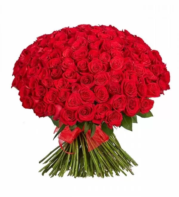 250 adet Kırmızı Gül Buketi