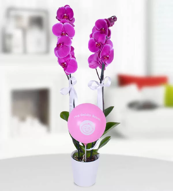 Pembe Balonlu Kız Bebek Mor Orkide