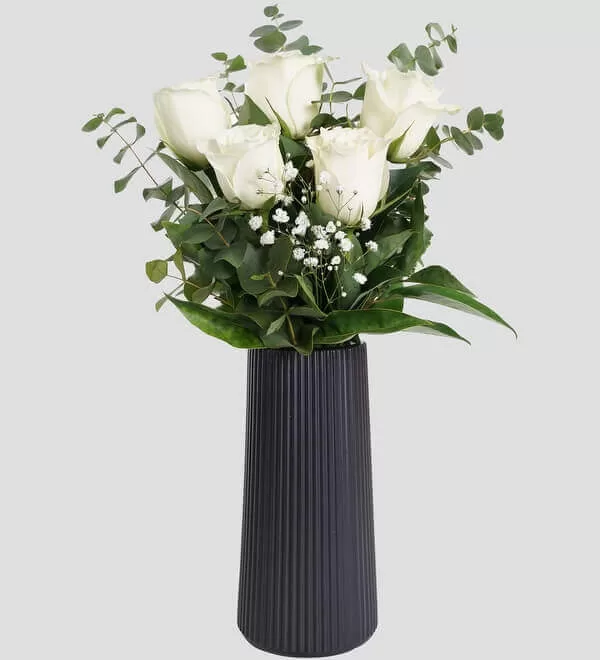 Çizgili Siyah Vazoda Beyaz Güller