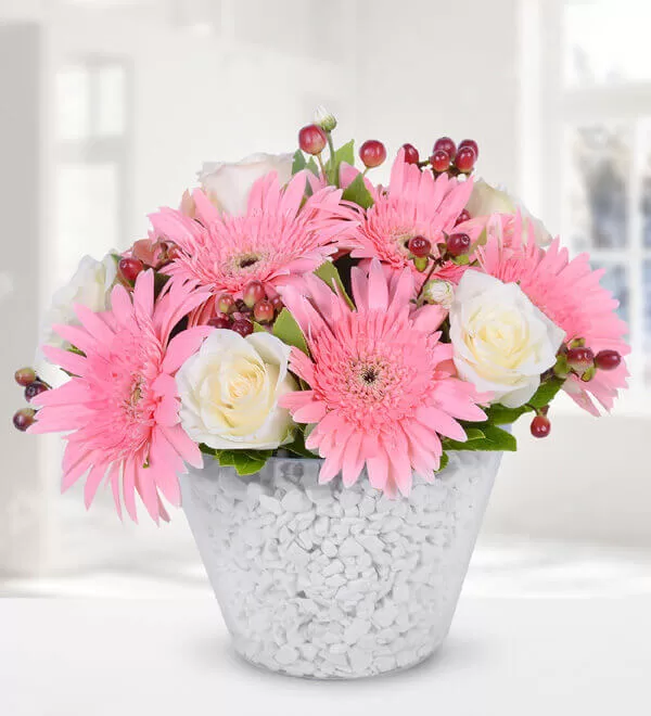 Seramikte Beyaz Gül ve Gerbera